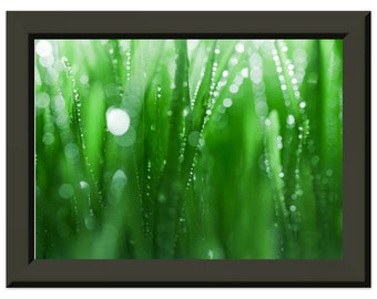 Premium Matte Paper Metal Framed Poster,living room wall art, kitchen art, bedroom art