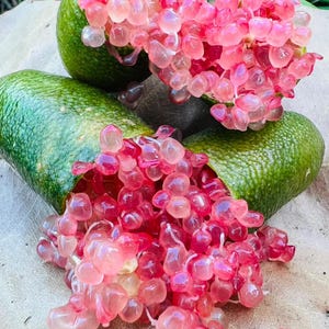 May include: A close-up shot of finger limes, or caviar limes, with green skin and bright pink, translucent pulp. One lime is cut open, showing the unique, bead-like vesicles. The image highlights the fruit's unusual texture and colour.