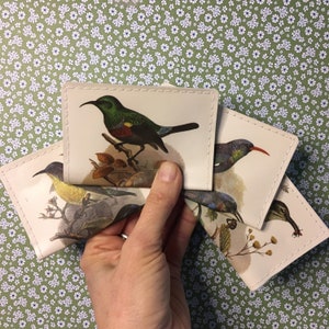Billetera de tarjeta de crédito / Billetera Bird / Mini-Billetera
