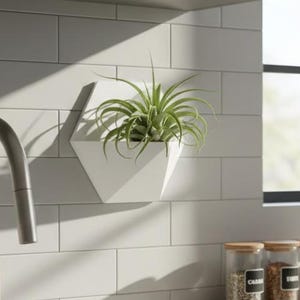 May include: A modern kitchen scene featuring a stainless steel faucet, a dark gray sink, and a white countertop. A white geometric wall planter holds a green plant. Three glass spice jars sit on a wooden tray, and a window is visible in the background.