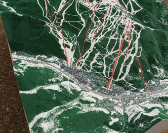 Custom 3D Topographic Map with inset features