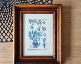 Vintage houten lijst met botanische illustratie