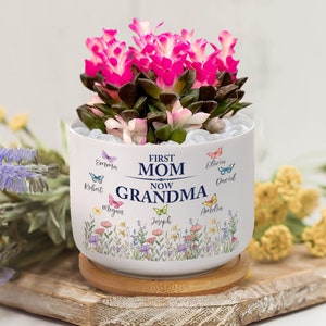 Personalized First Mom Now Grandma Plant Pot, Wildflowers Butterfly Grandma Succulent Pot, Mother's Day Gift for Mimi Gardener TD-0415-YLSS