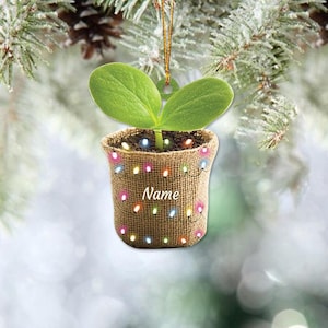 May include: A burlap pot with a small green plant growing out of it. The pot is decorated with colorful lights and the word "Name" is written on the front.