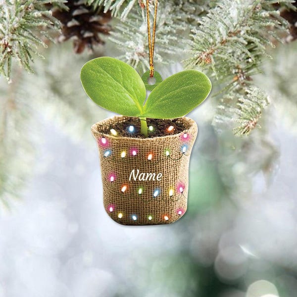 Adorno navideño personalizado con maceta de arpillera, adorno navideño con motivos de plantas, adorno de jardinería, regalo para macetas, regalo para jardineros TD-1107-AJN0