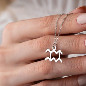 Aquarius Zodiac Necklace, Astrology Necklace, Zodiac Necklace, Birthday Gift, Horoscope Necklace, Aquarius Gift