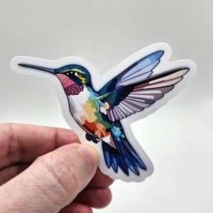 Regenbogen Kolibri Aufkleber | Wetterfester Vinyl-Aufkleber