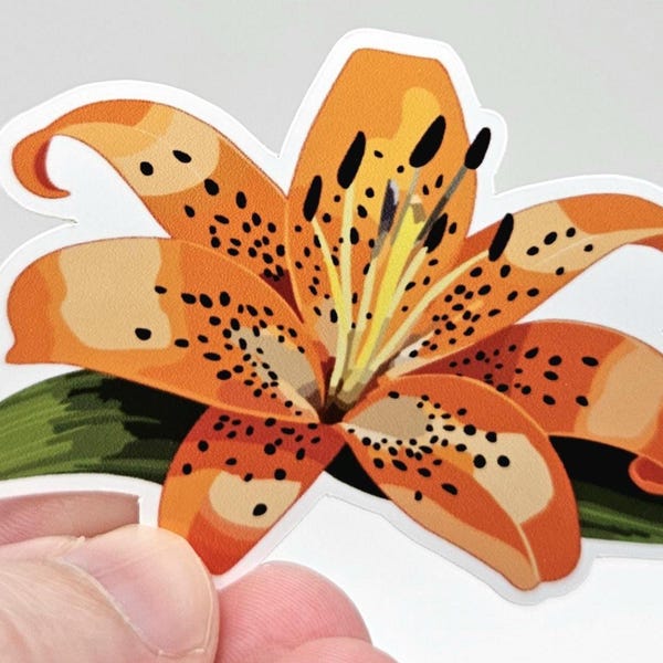 Pegatina de flor de lirio tigre naranja – Pegatina de lirio naranja – Calcomanía botánica para portátil y botella de agua
