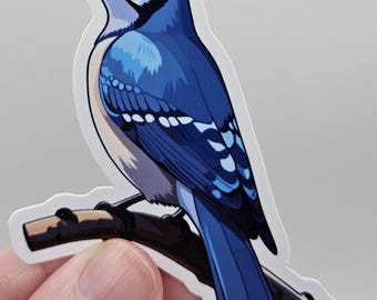 Aufkleber „Blauhäher“ – Aufkleber „Blauhäher“ – Wildtier-Vogel-Aufkleber für Laptop & Wasserflasche