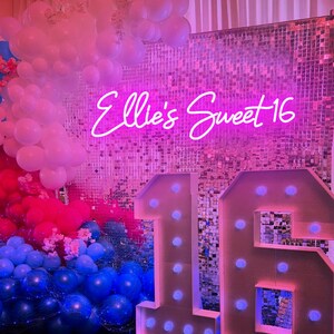 May include: A pink and silver sequin backdrop with a neon sign that says "Ellie's Sweet 16" and large white light-up numbers 1 and 6. The backdrop is decorated with pink, blue, and white balloons.