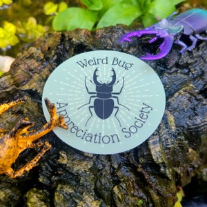 May include: A round sticker with a light green background and a black stag beetle illustration. The sticker says "Weird Bug Appreciation Society" in a white circle around the beetle.
