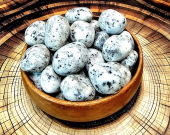 Dalmatian Jasper Tumbled Stone, 20mm - 30mm, Polished Dalmatian Crystal, Natural Dalmatian Quartz Tumbles, Dalmation Stone Gemstone