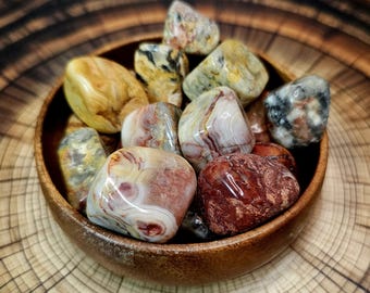Crazy Lace Agate Tumbled Stone, 20mm - 30mm, Polished Mexican Agate Crystal, Medium Tumbled Crystal, Natural Yellow Crazy Lace Agate Tumbles