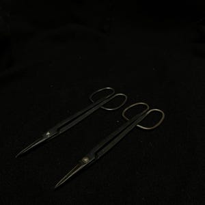 以下が含まれることがあります： 小さな、暗い金属製のハサミが2組。刃先は尖っており、指を入れる穴はループ状になっている。ハサミは暗い背景に対して斜めに配置されており、クラフトやグルーミングをテーマにしていることを示唆している。
