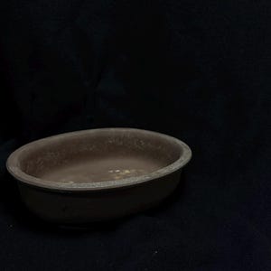 以下が含まれることがあります： 小さく、楕円形の茶色のセラミックボウル。 ボウルはわずかにテクスチャ加工された表面と濃い茶色をしています。 ボウルの縁は明るい茶色です。 ボウルは空で、黒い背景にあります。