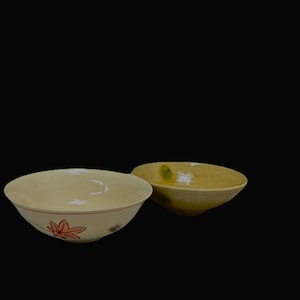 May include: Two ceramic bowls. One is cream-coloured with a red and orange leaf design. The other is a light brown colour with green accents. Both bowls have a rounded shape and are set against a black background.