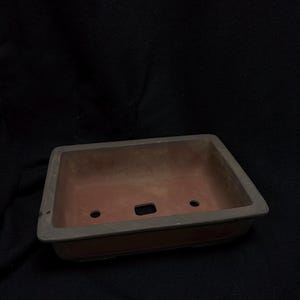 bambus silizium nebenwirkungen Bio Bambus Extrakt 100g  Strken Sie Ihre Knochen!