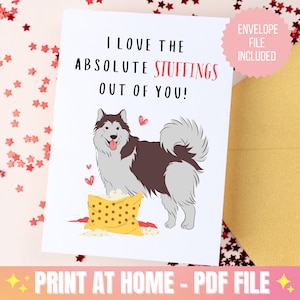 Tarjeta divertida del perro, tarjeta de perro imprimible, tarjeta de cumpleaños del perro, tarjeta de su mascota, tarjeta de ocasión especial, tarjeta de perro grosero, tarjeta de amante del perro