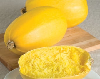 Vegetable Spaghetti Winter Squash Seeds