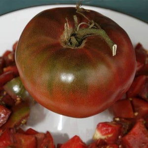 May include: A large, dark red tomato with a green stem. The tomato is sitting on a white plate with other chopped tomatoes.