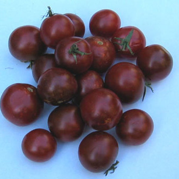 Chocolate Cherry Tomato Seeds