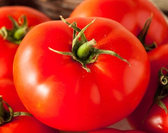 Goliath Tomato Seeds