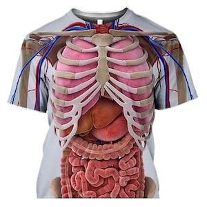 Op de afbeelding: Een lichtgrijs t-shirt met een gedetailleerde anatomische illustratie van de menselijke torso. Het ontwerp omvat de ribbenkast, longen, lever en darmen, weergegeven in realistische kleuren en texturen. Het shirt heeft korte mouwen en een ronde hals.