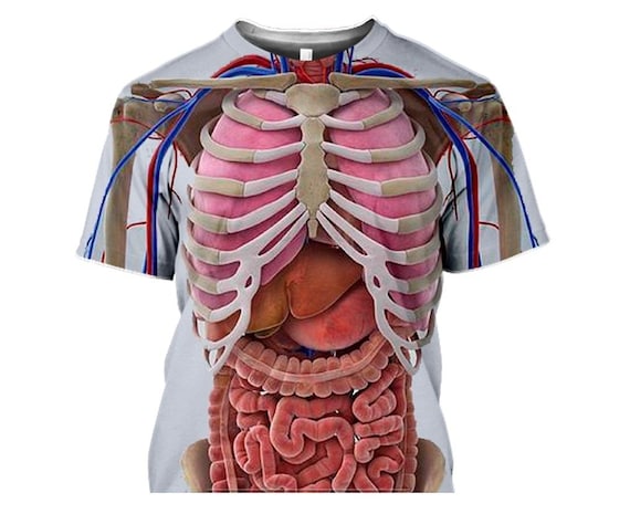 Human body shirt high quality shirt t-shirt