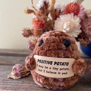 positive potato emotional support potato finished product handmade pick me up gift, gift for family friend, get well soon gift struggling