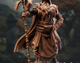 The One Eyed Wanderer | Nordic Druid Mage Sorcerer Wizard | 32mm / 28mm / 75mm | Ideal for Tabletop RPGs | Dungeons and Dragons - Dm Stash
