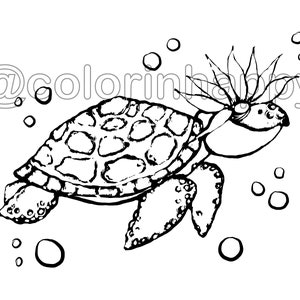 Ted Tortuga
