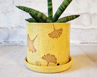 Yellow Ginkgo Planter w/ matching yellow drain plate - Standard size 5"x5" - Succulent planter - Ginkgo Leaf - Handmade Pottery Indoor Plant