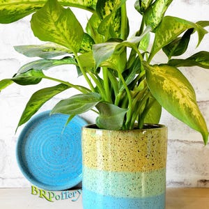 May include: A vibrant houseplant in a speckled, cylindrical ceramic pot with bands of yellow, green, and blue. A matching blue saucer sits beside the pot. The text "BR Pottery" is visible on the saucer.