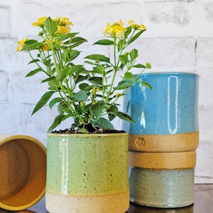 Colorful Indoor Planter Ceramic Planter Pottery Planter Flower pot with drain holes Planter with drainage Herb Planter for indoors Bamboo Green