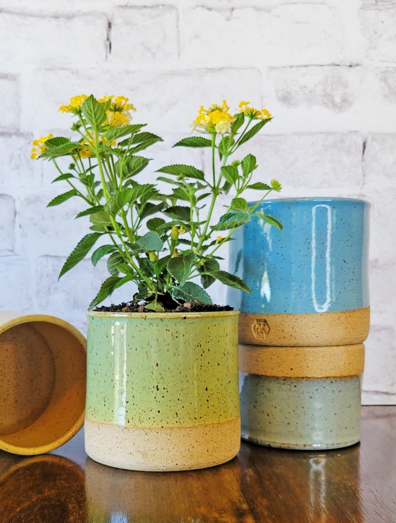 Colorful Indoor Planter Ceramic Planter Pottery Planter Flower pot with drain holes Planter with drainage Herb Planter for indoors Bamboo Green