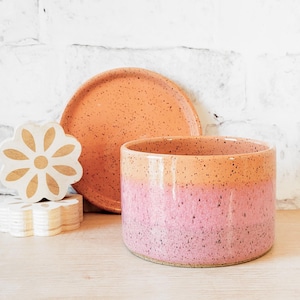 Color Blend Indoor Planters - Ceramic Planter - Pottery Planter - Flower pot with drain holes - Planter with drainage - Herb Planter