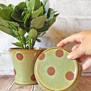 May include: A ceramic plant pot and matching saucer featuring a light green glaze with dark brown polka dots. The pot contains a green leafy plant. The saucer is held upright, displaying its circular shape and matching green and brown pattern.
