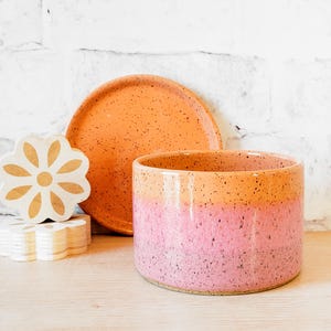 Color Blend Indoor Planters - Ceramic Planter - Pottery Planter - Flower pot with drain holes - Planter with drainage - Herb Planter