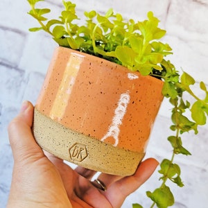 Colorful Indoor Planter Ceramic Planter Pottery Planter Flower pot with drain holes Planter with drainage Herb Planter for indoors Tangerine