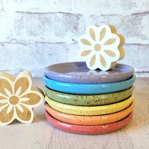 Drain Plate for planters - 5.5" plate - 11 Colors - Forget Something?