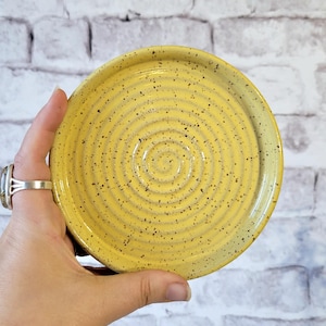 Drain Plate for planters - 6&quot; plate - 11 Colors - Planter Saucer - Drainage Plate - Catch plate - plant pot drip trays - Forget Something?