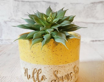 Hello Sunshine Planter - Small size 3.5"x4" - Handmade Pottery Indoor Plants - Succulent planter