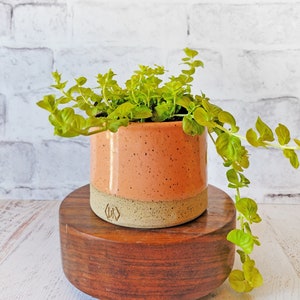 Colorful Indoor Planter Ceramic Planter Pottery Planter Flower pot with drain holes Planter with drainage Herb Planter for indoors image 9