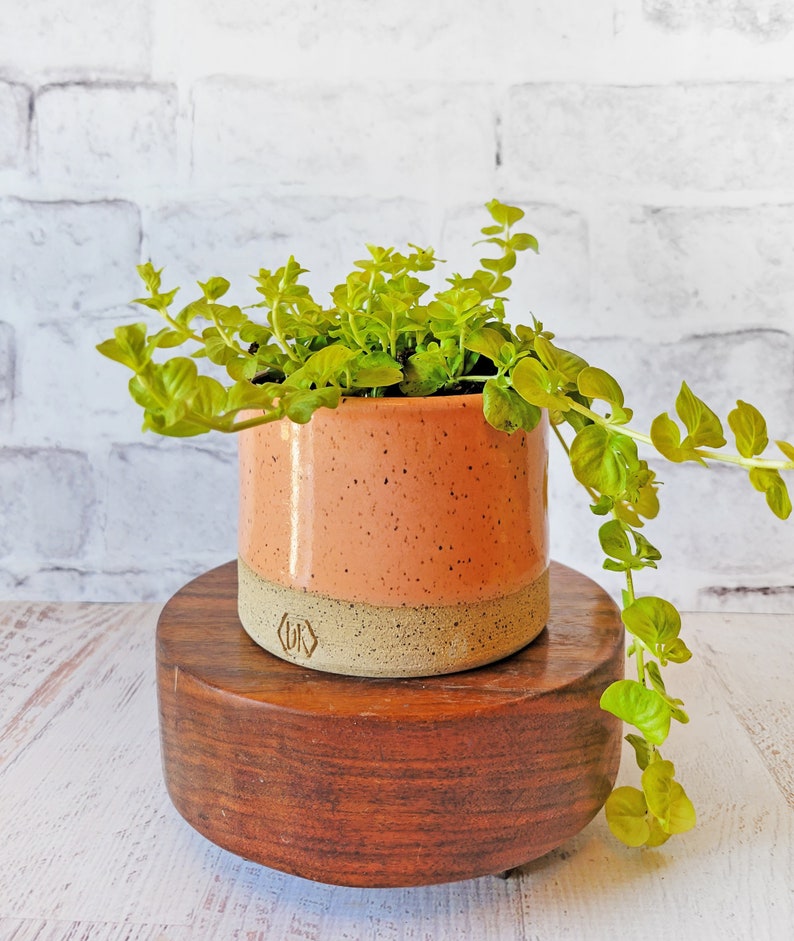 Colorful Indoor Planter Ceramic Planter Pottery Planter Flower pot with drain holes Planter with drainage Herb Planter for indoors image 9