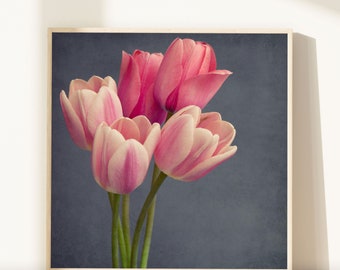 Tulip Print, Pink Tulip Photography Print, Tulip Art, Large Wall Art, Flower Photography, Girls Room Wall Art, Flower Wall Art