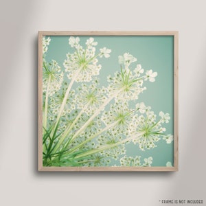 Bedroom Wall Art, Flower Photography, Queen Anne's Lace, Square Art Print, Floral Wall Decor, Aqua, Teal, Green, Living Room Wall Art Print image 4