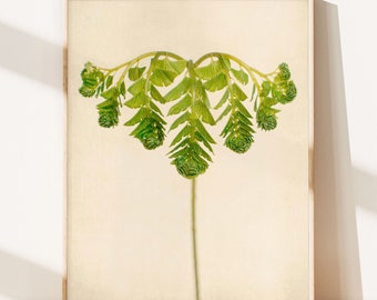 Botanical Print, Maidenhair Fern Print, Nature Wall Decor, Botanical Wall Art, Fern Art Print, Woodland Art