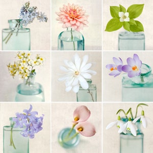 Floral Still Life Mini Portfolio, Flower Photography, Affordable Art Prints, Photo Collection, 5x5 Photos, 5x5 Print Set image 1