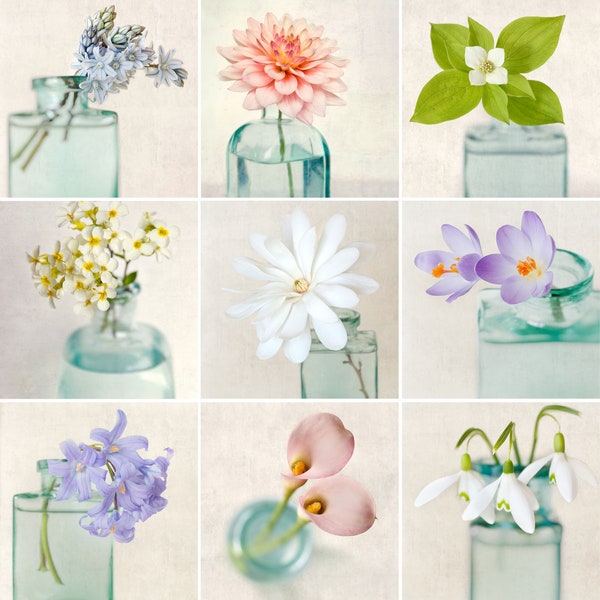 Floral Still Life Mini Portfolio, Flower Photography, Affordable Art Prints, Photo Collection, 5x5 Photos, 5x5 Print Set