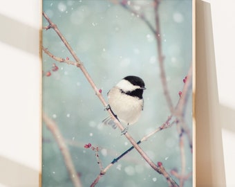 Winter Decor, Winter Photo, Bird Photo, Winter Art, Snow Photo, Nature Photography, Winter Bird Print, Chickadee in Snow No. 18